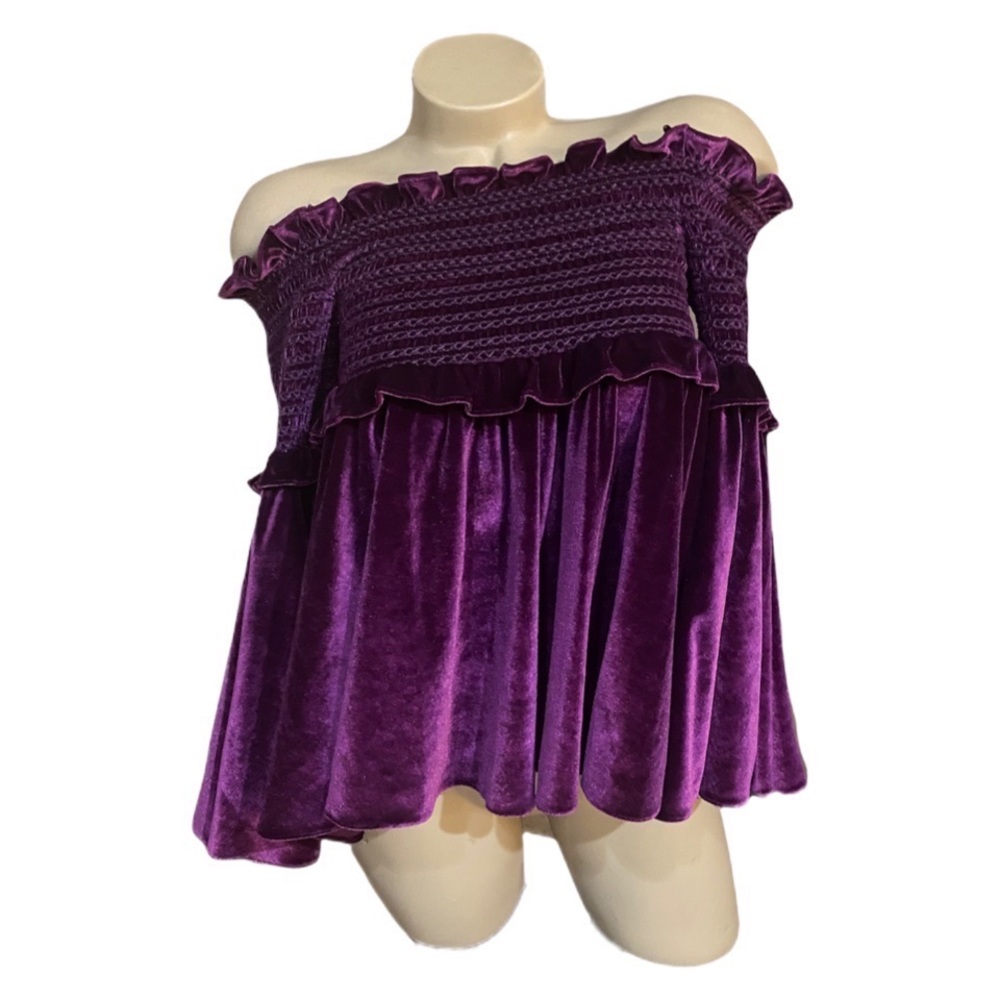 Petersyn Davenport Mulberry Velvet Top Size XS Extra Small New NWT Reg $295 - Picture 4 of 4